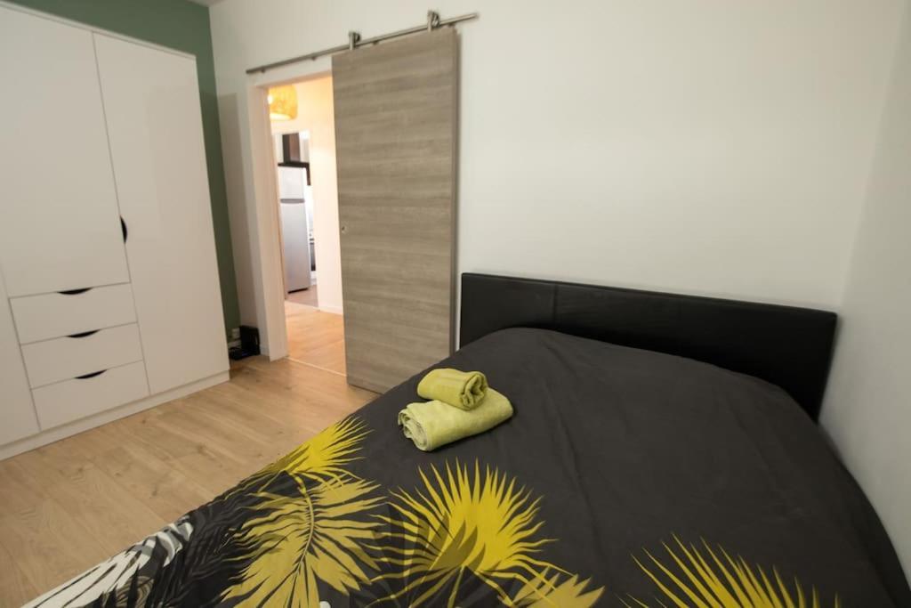 New Appartement Proche Gare Et Centre-Ville Κολμάρ Εξωτερικό φωτογραφία