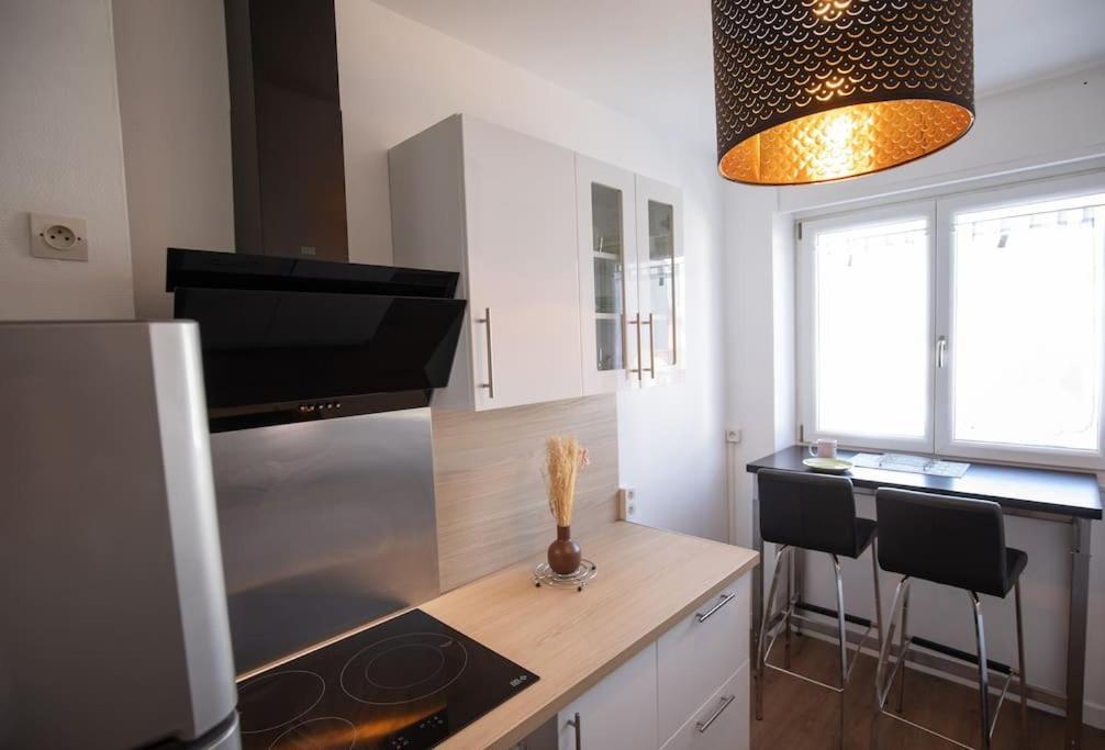 New Appartement Proche Gare Et Centre-Ville Κολμάρ Εξωτερικό φωτογραφία